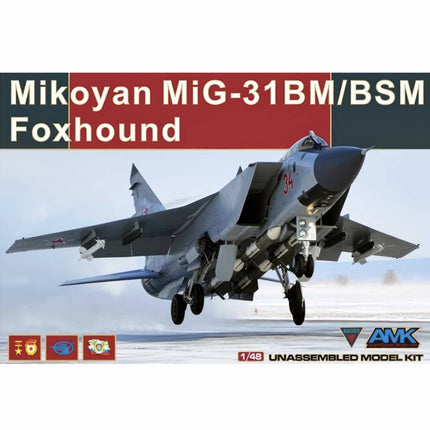 AMK - Mikoyan MiG - 31 BM/BSM Foxhound 1/48 - The Scale Model Stash